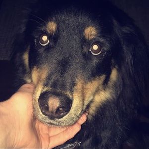 Meet your Posher, Beth